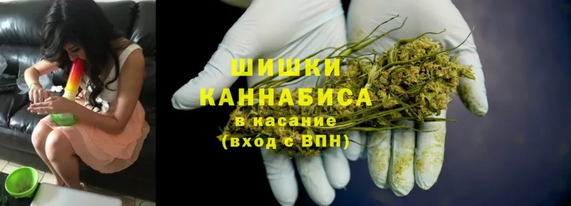 Бошки марихуана THC 21%  Пыталово 